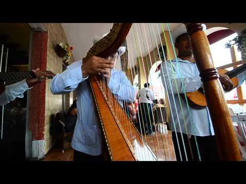 El pájaro campana - Tlacotalpan - Veracruz - Arpa Jarocha