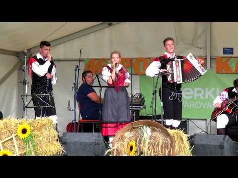 Ansambel Boršt  - Svatovska (v živo)