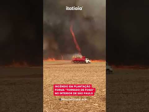 INCÊNDIO EM PLANTAÇÃO FORMA "TORNADO DE FOGO" NO INTERIOR DE SÃO PAULO