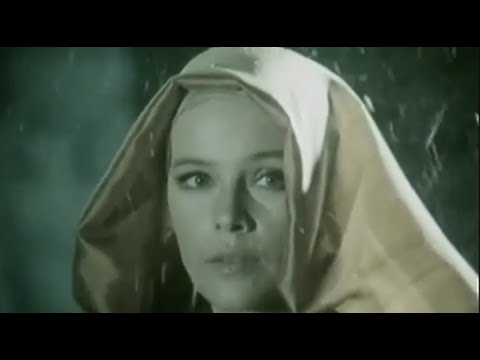 Cold Colors - Clear Memory