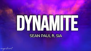 Sean Paul - Dynamite (Lyrics) ft. Sia