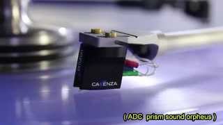 Shelby Lynne - You Don&#39;t Have To Say You Love Me