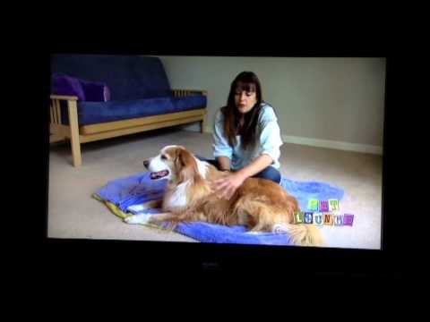 Nedra Abramson of Reiki For All Creatures on Pet Lounge TV