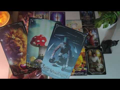 TAURUS ♉️ THEY LIED