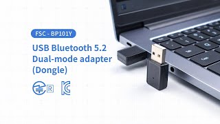 FSC-BP101Y Adattatore da USB-Bluetooth