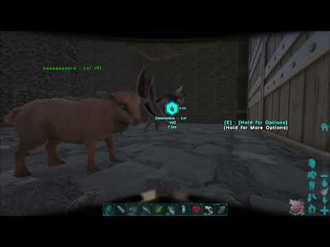 Desmondus Trap For Taming Effectiveness  (short example) Ark Survival Evolved PVE Official