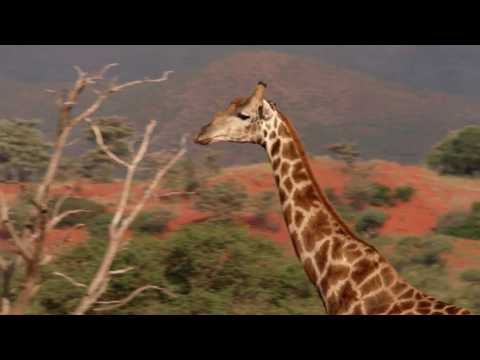The Motse - Kalahari Desert (South Africa)