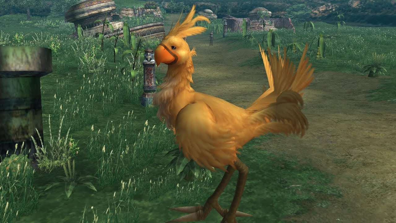 Chocobo