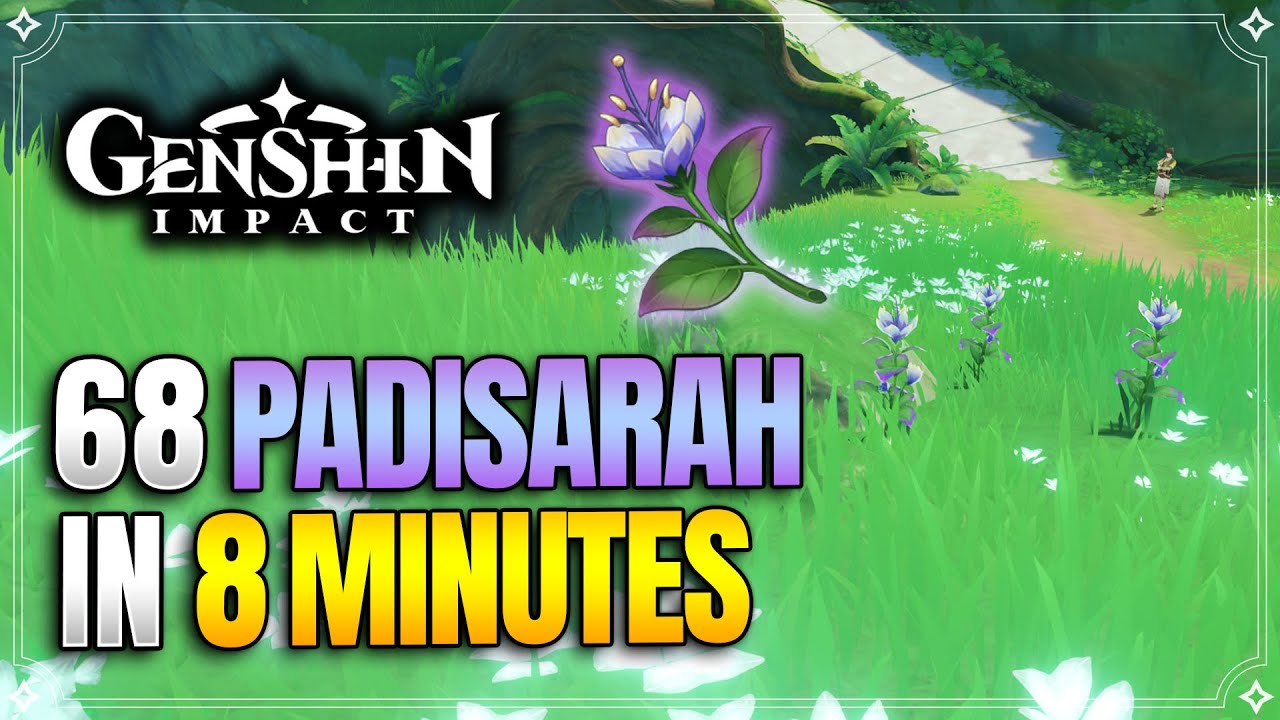 Padisarah Locations | Fast and Efficient Farming Route | Nilou Ascension Materials |ã€Genshin Impactã€‘ - YouTube