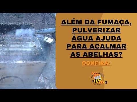 E se pulverizar ÁGUA nas abelhas, ajuda a acalmá-las?