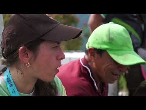 RECORRIDO CERRO CANTA MONO- QUINCHÍA OCULTA