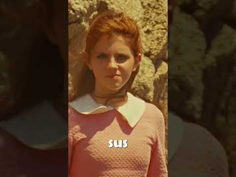3 claves para entender el cine de Wes Anderson: un director con estilo único. #cine #animación