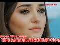 Tune Sangdil Mere Dil Ko Toda Https Youtube Com Shorts G6zbFYZJicw Si 8rc3VzbPeLcPC21b