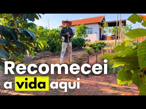 I Left My Job in the City to Live in Peace in the Countryside