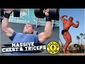 Gold's Gym Training - The Secret HOW to get BIG HUGE CHEST AND TRICEPS posing at Venice MUSCLE beach