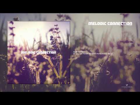 Melodic Connection 065 - Vince Forwards