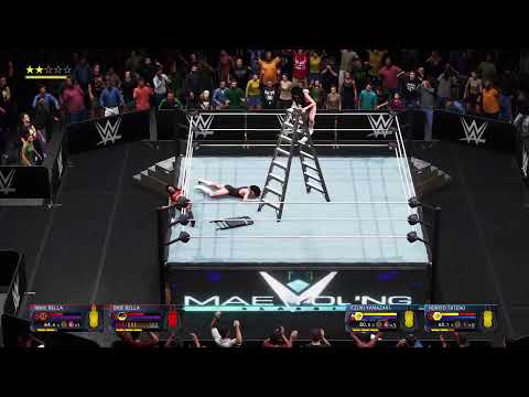 The Jumping Bomb Angels vs. The Bella Twins (Women's Tag Titles)