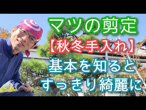 果樹の剪定はいつ行うのですか？秋の剪定方法と対処法は？完全ガイド  庭園