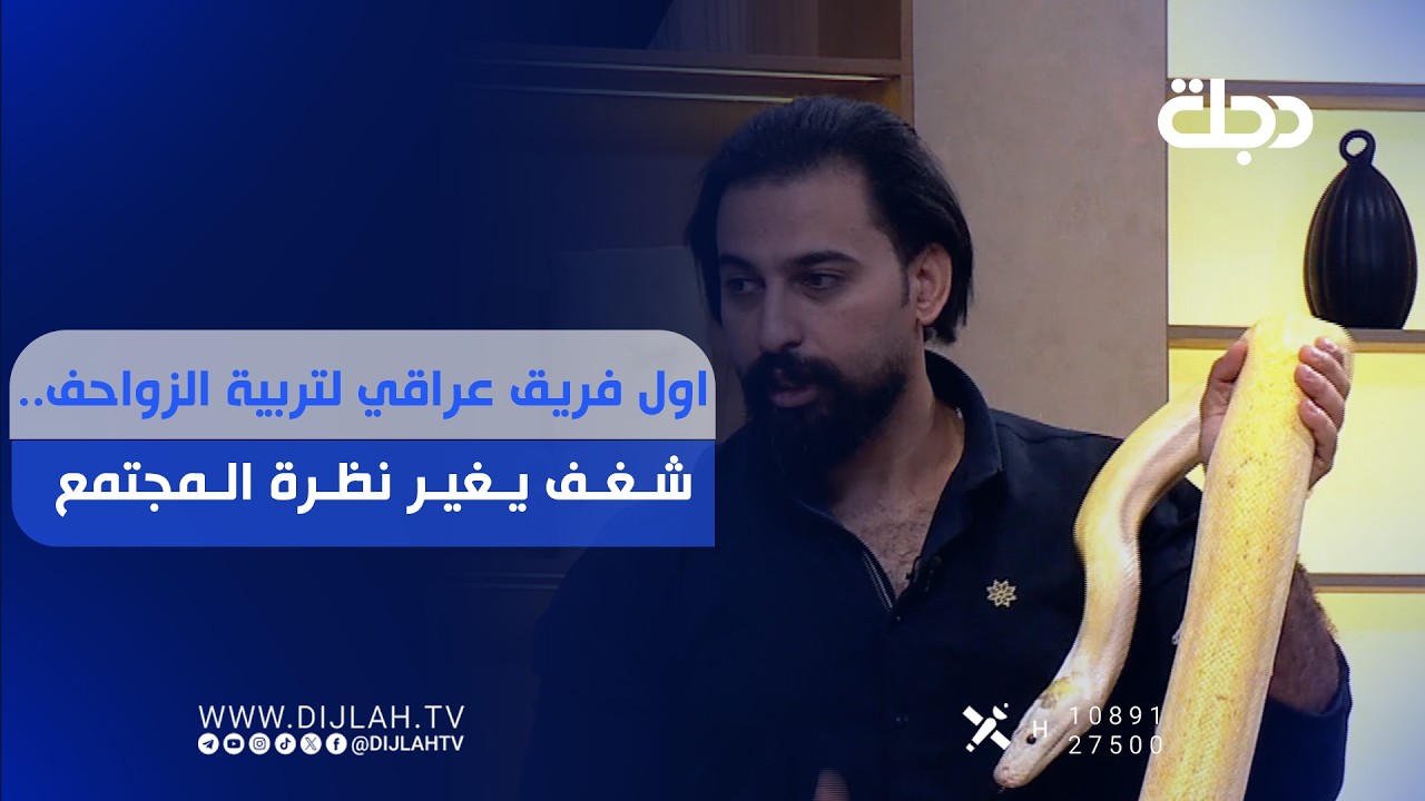 فيديو | اول فريق عراقي لتربية الزواحف.. شغف يغير نظرة المجتمع