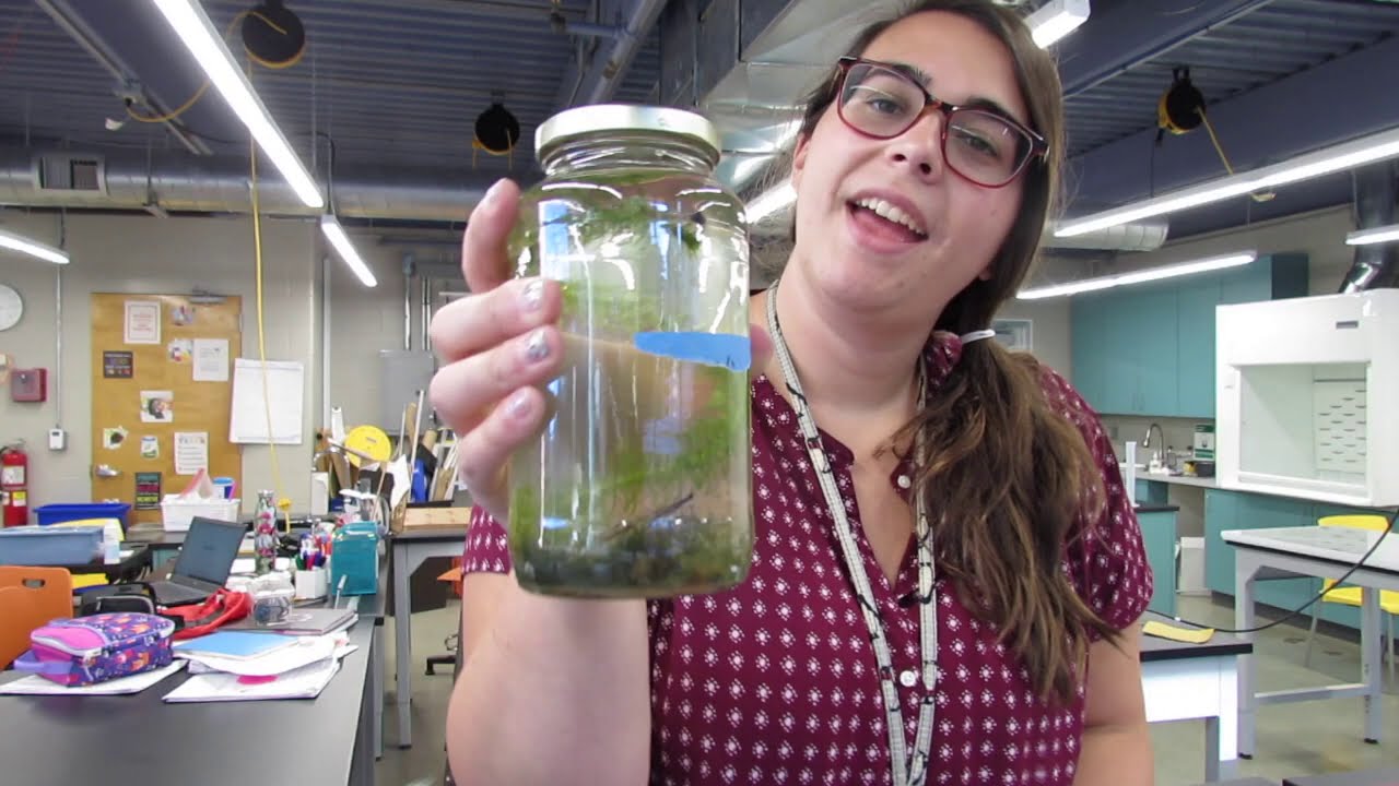 Science Corner: Ecology (Part 1)