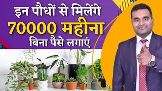 Plants Rental Business | New Business ideas 2021| Small business ideas| Zero Investment #business