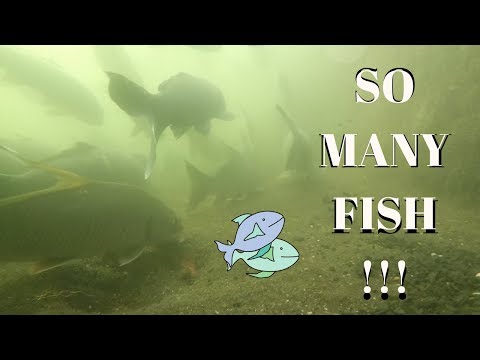 GoPro in a Dam Spillway