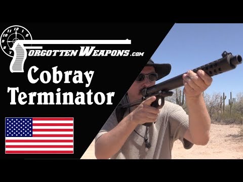 Cobray Terminator at the Range: The Worst Shotgun Ever