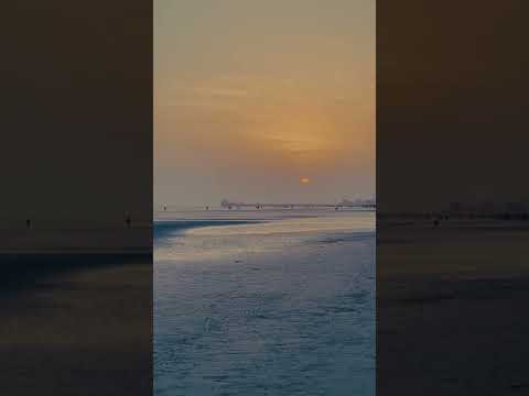 قدم زدن تو ساحل دمِ غروب |walking on the beach at sunset