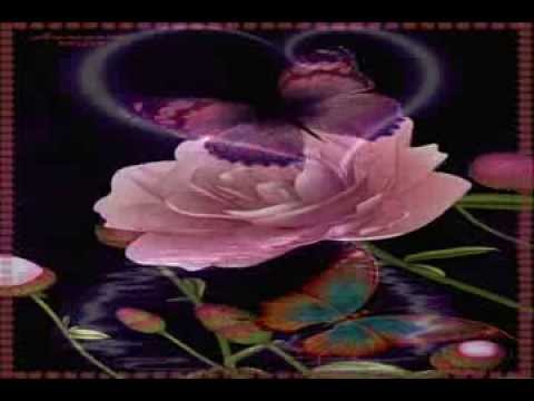 Thể hiện bởi Diệu Hiền