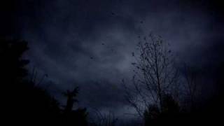 Lunatic Soul - Where the Darkness is Deepest