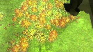 Interactive Flowers projected on floor.