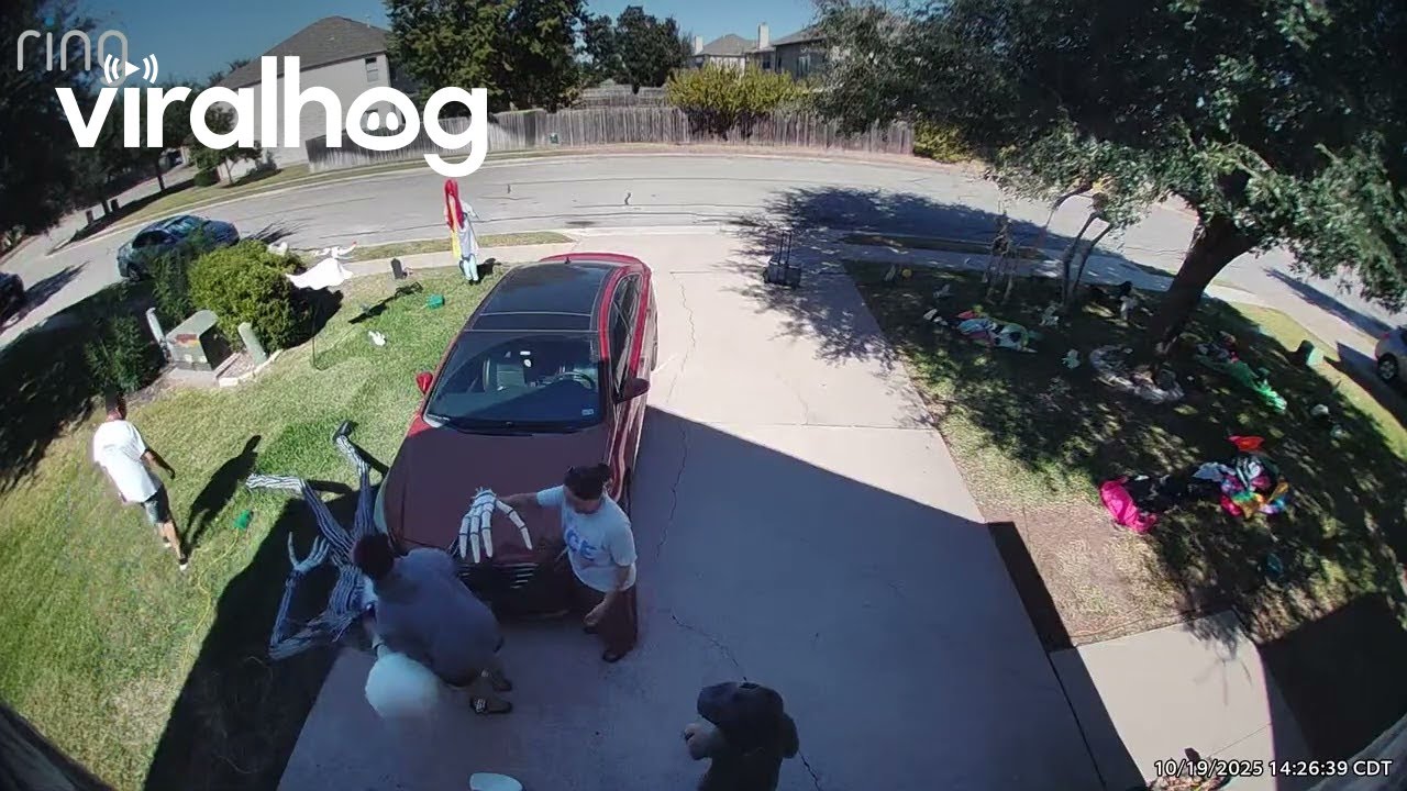 Jack Skellington Falling Over || ViralHog