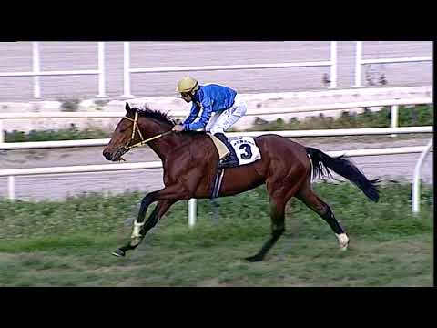 Napoli Galoppo 29/12/2022 - 1ª corsa