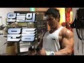 어깨 이두 무조건 좋아지는 루틴 l 새벽 공복운동전 섭취하는 것