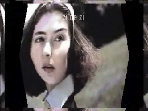 Stela Enache - Extemporal la dirigentie (cu versuri)