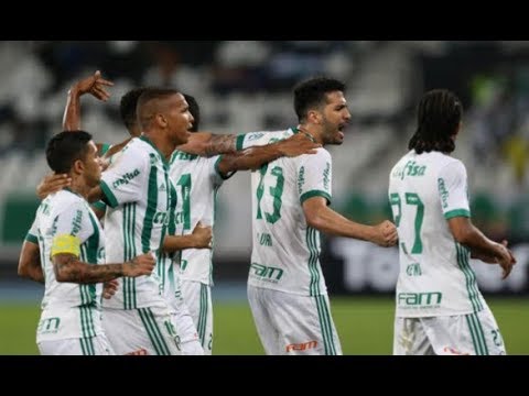 Botafogo 1 x 2 Palmeiras - Campeonato Brasileiro 2017