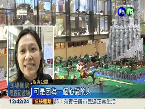 5大師耗時半年 10萬片積木組城堡