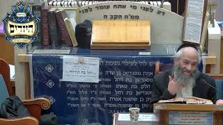 הרב משה כהן | הלכות | יזדים (בית הכנסת מוסאיוף) - התמונה מוצגת ישירות מתוך אתר האינטרנט יוטיוב. זכויות היוצרים בתמונה שייכות ליוצרה. קישור קרדיט למקור התוכן נמצא בתוך דף הסרטון