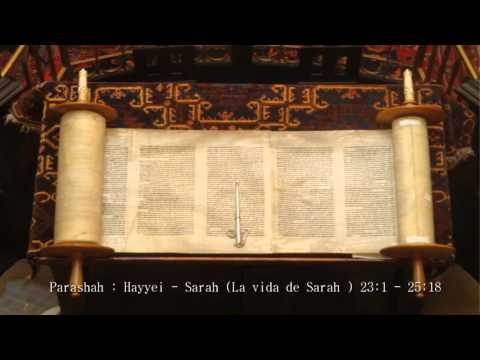 PARASHA  Jayei Sarah (Hayyei  Sará)