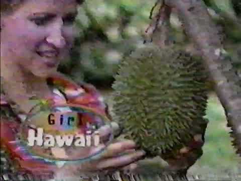 Girl Meets Hawaii 2000