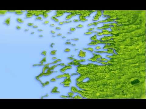 Origins of the Logo: Inish Turk Beg