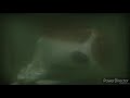 The Queen S Corgi Underwater Scene Square