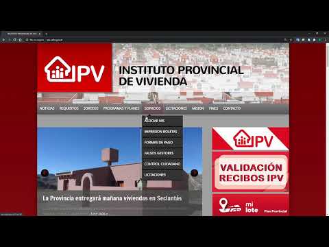 IPV Boletas