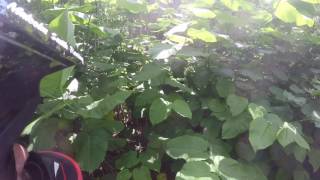 Be careful it&#39;s a jungle out there...