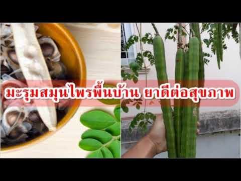 หมอรักษาความอ่อนแอ วิธีการที่จะกระตุ้นผู้หญิงนาที