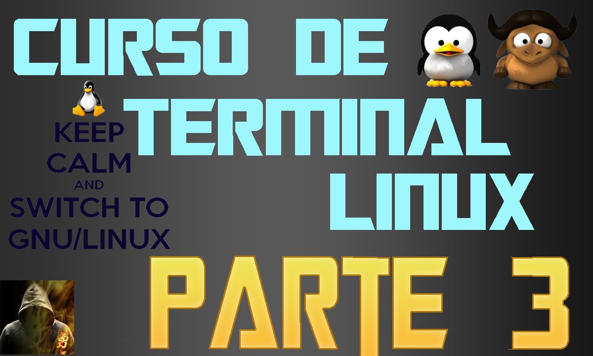 Curso de comandos Linux solo terminal Parte 3 || Aali