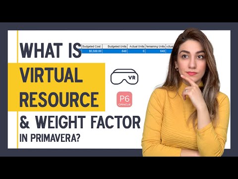 LOG REPORT in Primavera P6 Challenges 2022 Log txt does not exist