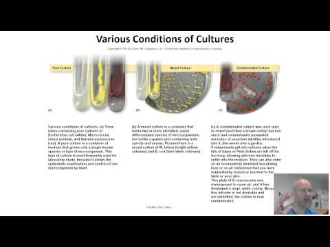 BIO 220 - CHAP 2 - VID 1 - CULTURING MICROORGANISMS