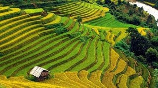 Download lagu lagu Nini Nini make cutbray (COVER) - enak di dengar lagi Sunda buhun mp3 Download lagu lagu Nini Nini make cutbray (COVER) - enak di dengar lagi Sunda buhun mp3