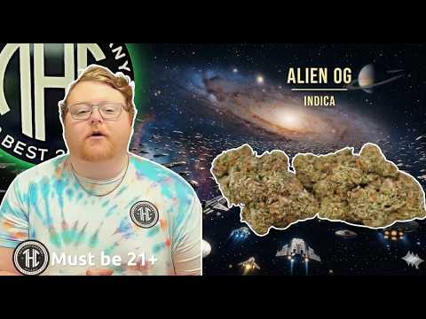 Alien Og Strain Allbud